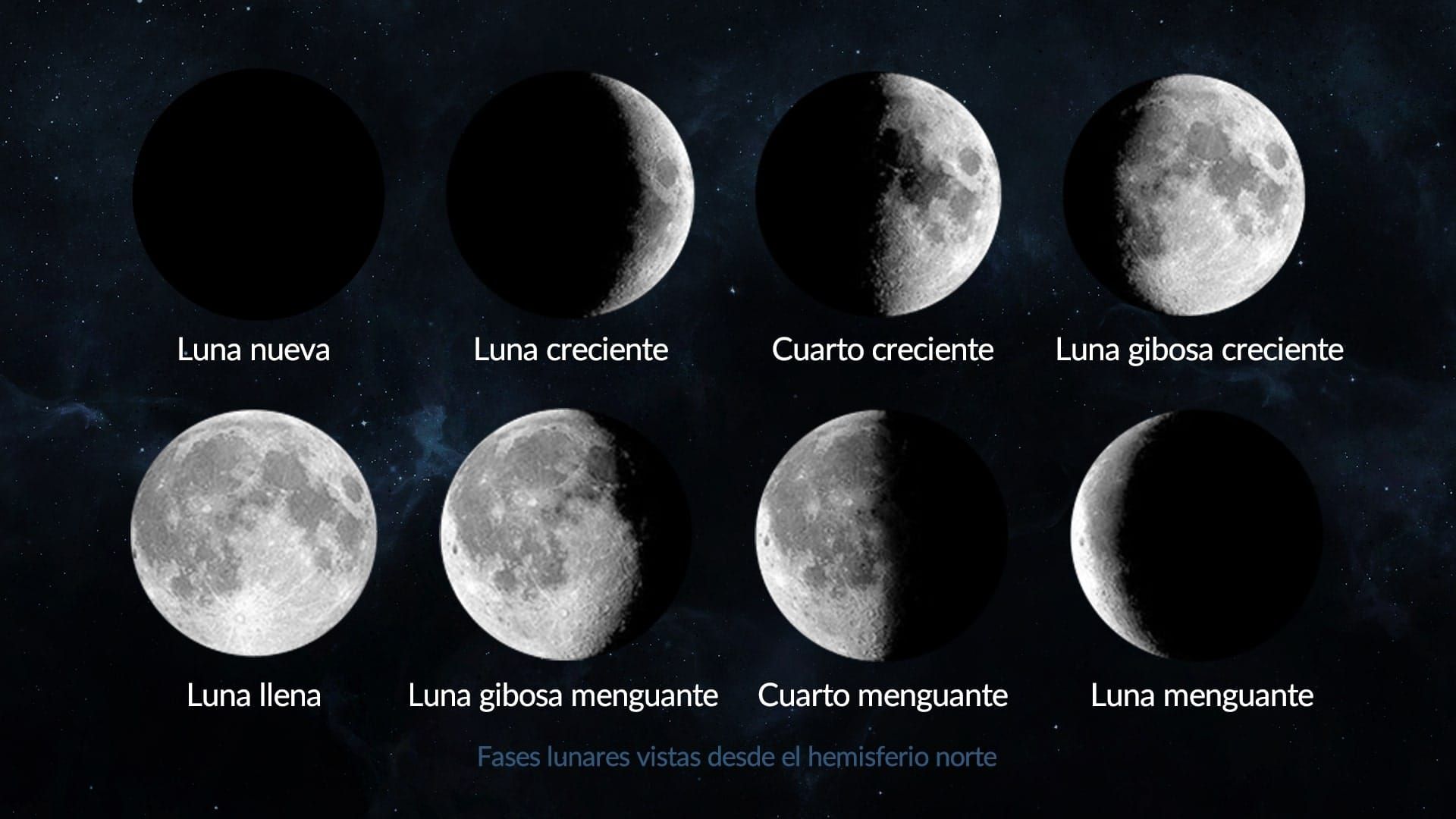 Calculadora De Fase Lunar | Luna Hoy | Luna Esta Noche | Edad De La ... with Luna, Dark Blue