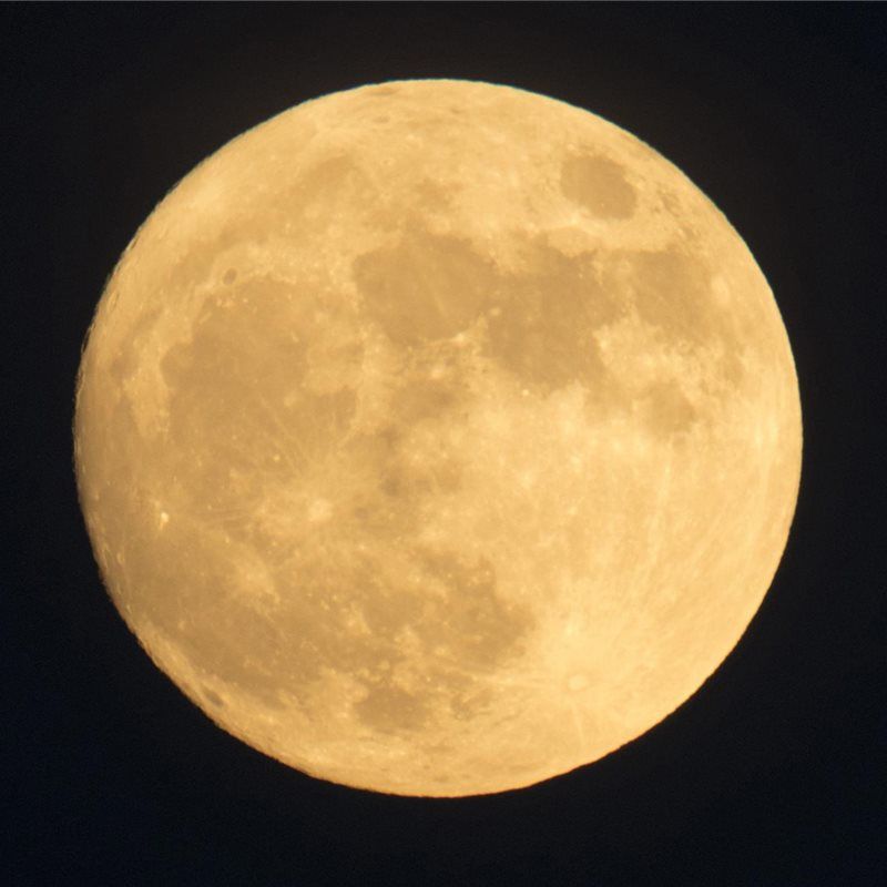 Space X Planea Enviar Turistas A La Luna En 2018 regarding Luna, Dark Blue